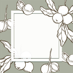 Macadamia background design nuts on leaf branch white square frame with copypaste space