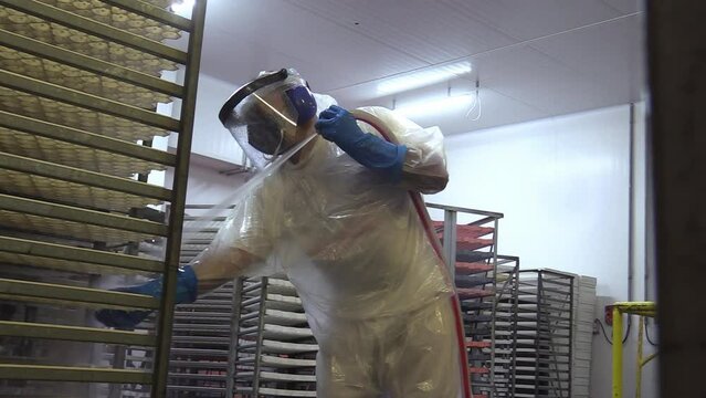 Worker in epi hygiene suit hosing down egg cups where hens lay eggs in an industrial poultry house.