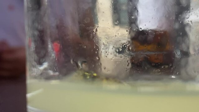 wasp trapped in a glass of lemonade trying to escape