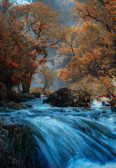 natural waterfall The stream hits the rocks and the trees change color in autumn.