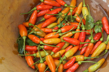 lots of freshly harvested cayenne pepper