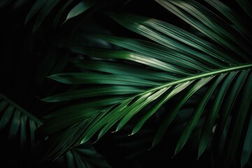 a close up of a green leaf with a background of palm trees. Layout, nighttime nature idea, tropical leaf. Generative AI
