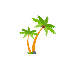 Beach coconut tree, seaside palm tree, coconut tree or island palm tree.