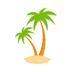 Beach coconut tree, seaside palm tree, coconut tree or island palm tree.