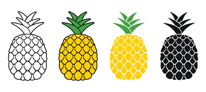Pineapple vector illustration, clipart style outline pineapple symbol