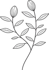 botanical line art