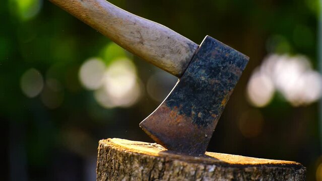 Rusty iron ax attached to a tree log.