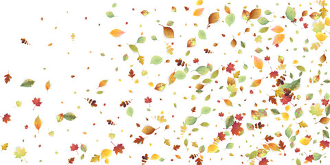 Leaves Falling Autumn Foliage Chaotic Leaf Flying