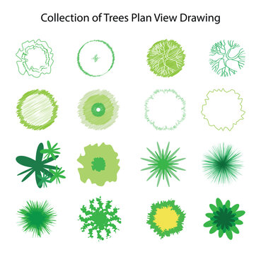illustration of gardening and landscape, Pictures of various forms of trees for work, different types of tree paintings, Collection of trees plan top view drawing	