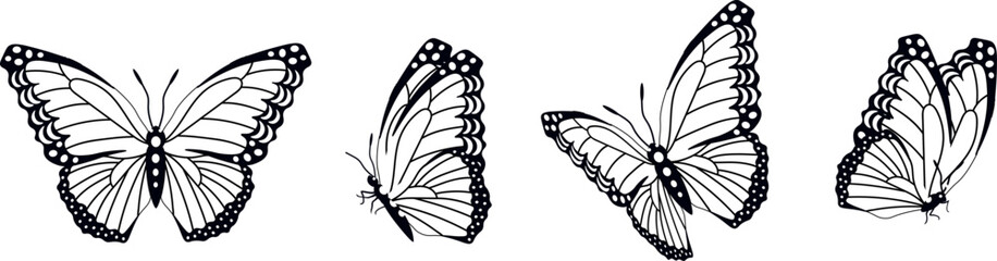 Butterfly silhouette in 4 options vector in isolated background