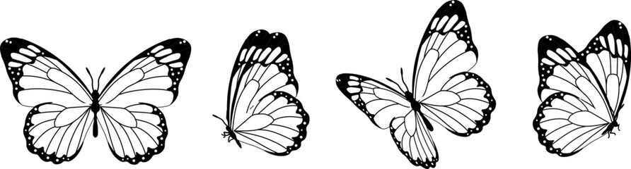 Butterfly silhouette in 4 options vector in isolated background