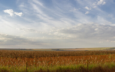 Horizon with hills and greenfield and a farm in countryside and blue sky cloudy weather