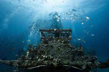 Underwater shot of HTMS Chang wreck ship with school of fish and scuba divers. The ship built for...