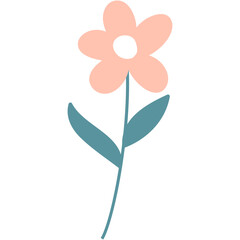 Spring flowers floral and leaves elements.