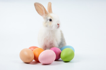 Fototapeta na wymiar young baby rabbit with easter eggs on white background