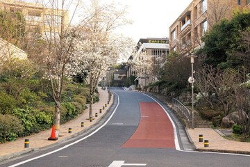 坂道