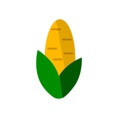 Grain corn icon. Maize. Vector.