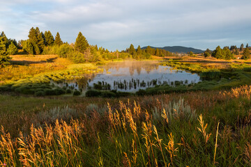 Beautiful Mountain Pond