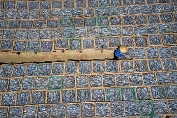 Fishermen dry fish after catching at sea at Long Hai town, Ba Ria-Vung Tau province, Vietnam