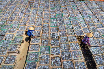 Fishermen dry fish after catching at sea at Long Hai town, Ba Ria-Vung Tau province, Vietnam