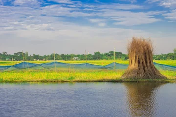 Foto auf Alu-Dibond landscape with lake © mamun