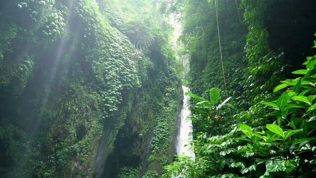 Amazing and beautiful tropical Hidden waterfall, which is part of the Sekumpul waterfall complex. Bali Island, Indonesia