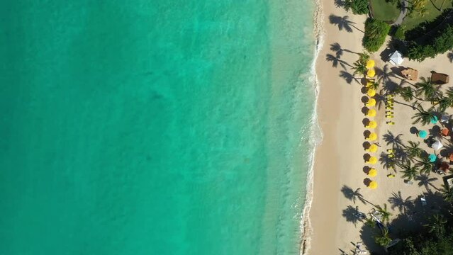Aerial vertical Drone view of a beautiful sandy beach in a caribbean tropical island with blue paradise water. Yellow umbrellas. Video for reels