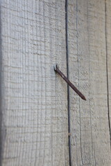 the texture of wood on a piece of old cracked board into which a rusty nail has been hammered