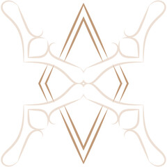 tribal geometric pattern icon