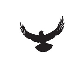 eagle with wings