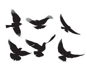 set of silhouettes of birds