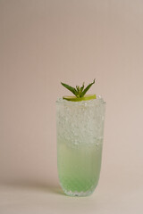 Fresh Mojito cocktail with lime and mint