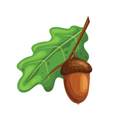 acorn oak leaf cartoon vector illustration © PikePicture