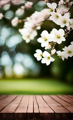 Spring Time - Blossoms On Wooden Table In Green Garden With Defocused Lights