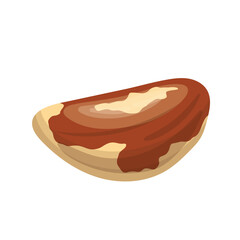 brazil nut healthy food cartoon vector illustration