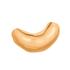 cashew nut food cartoon vector illustration