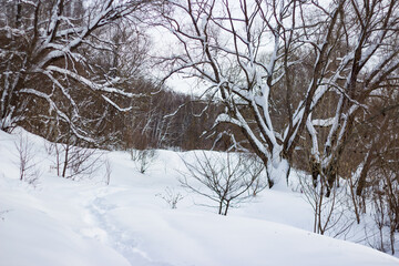 Snow-covered landscape in nature on a winter day
