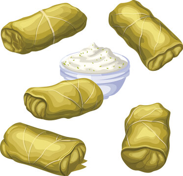 dolma food cuisine set cartoon vector illustration