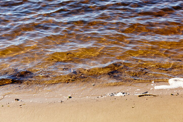 Water's edge on the shore. Wave of blue sea on sandy beach. Beautiful background with water ripples on the beach