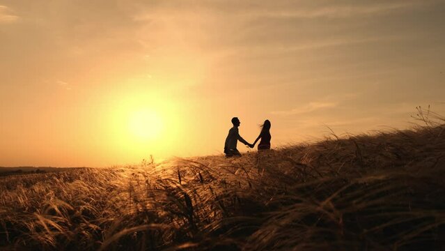 Silhouette of couple in golden field and beautiful sunset
