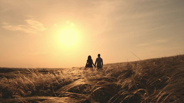 Silhouette of couple in golden field and beautiful sunset