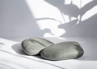 a podium of two stones on a gray background with a shadow of a plant