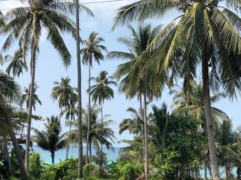 Thailand Kho Pha-ngan