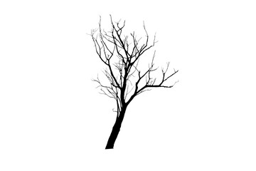 silhouette of dry tree on transparent background png file