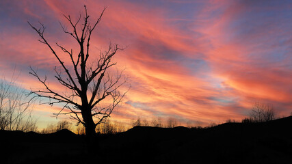 sunset over the forest