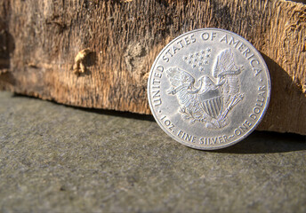 Silbermünze / Silber-Unze / Edelmetall / Anlagesilber (1 Oz American Silver Eagle - Fine Silver)