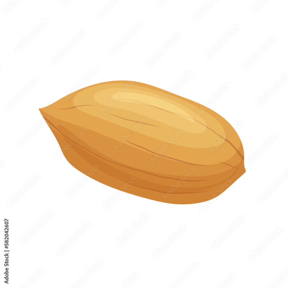 Wall mural pecan nut food cartoon vector illustration