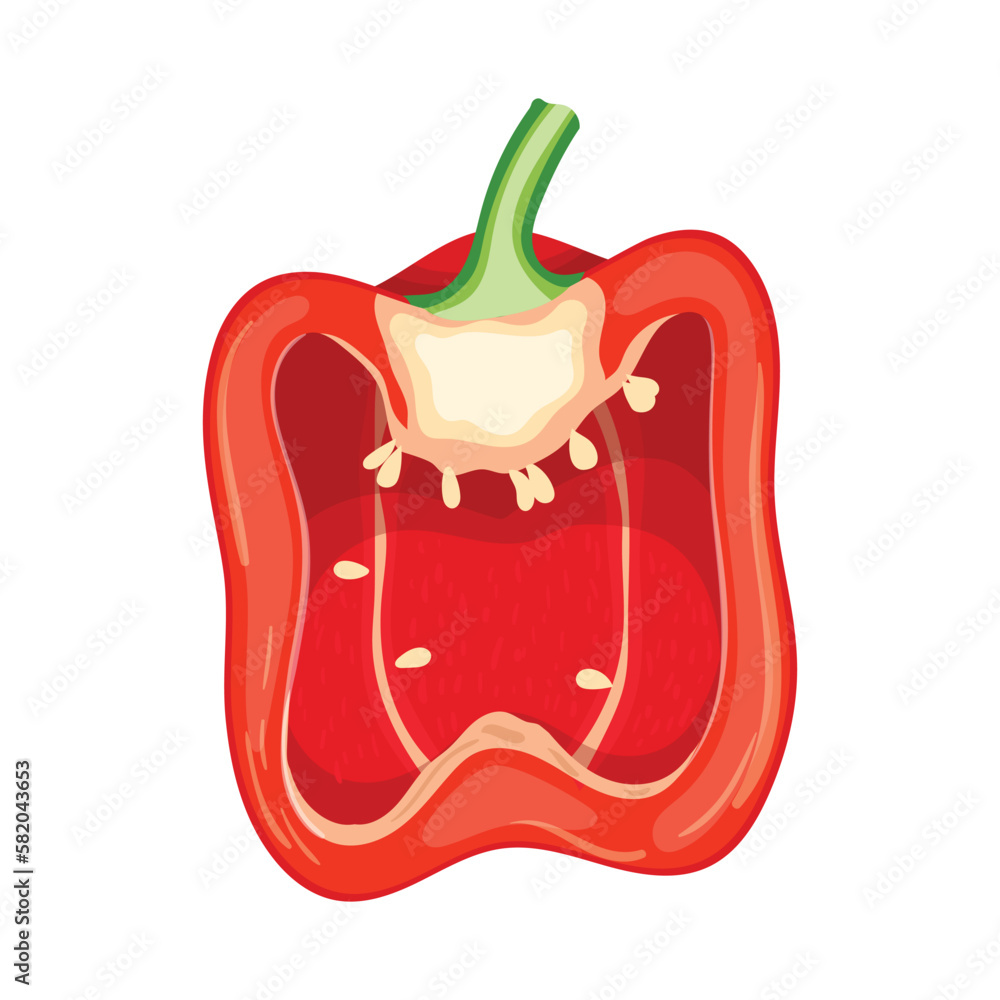 Canvas Prints red pepper slice cartoon vector illustration