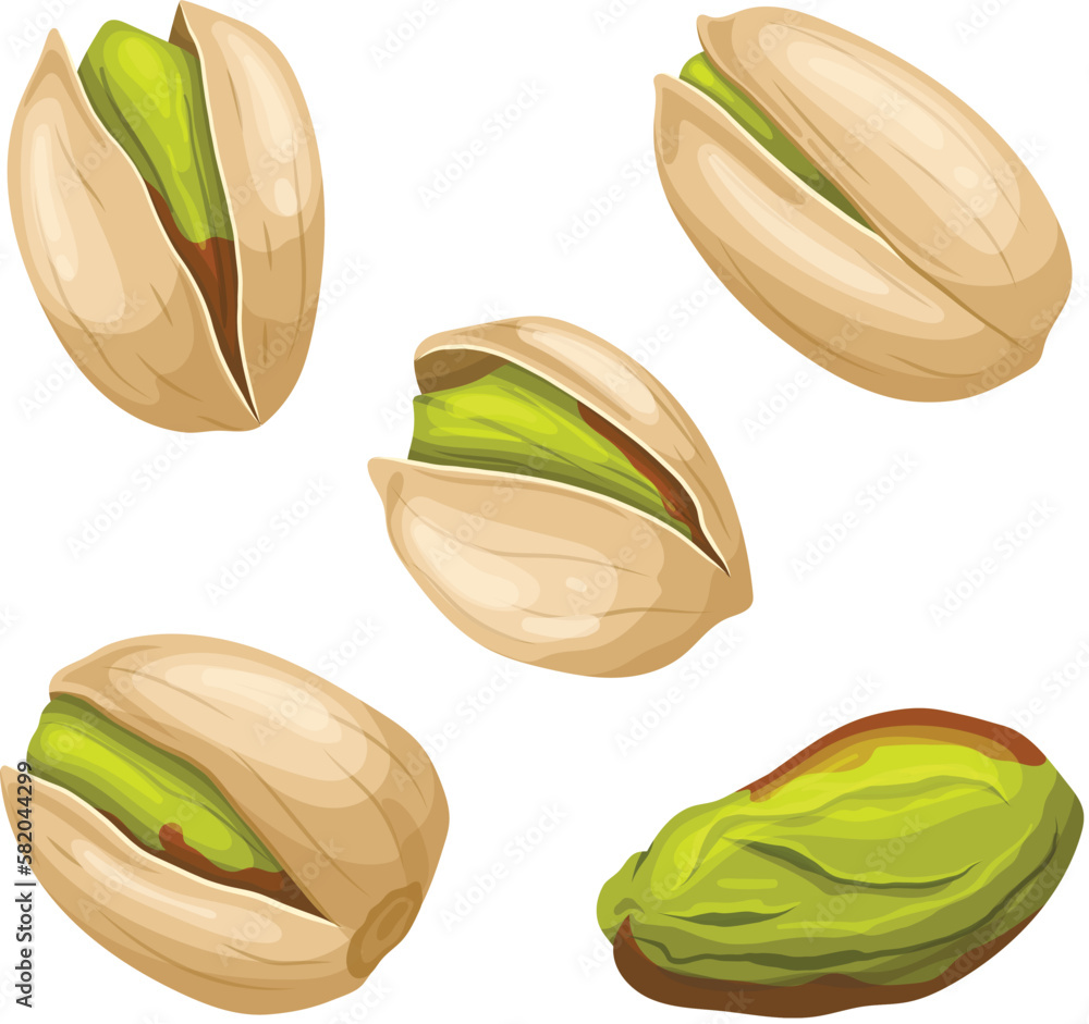 Sticker pistachio nut food set cartoon vector illustration