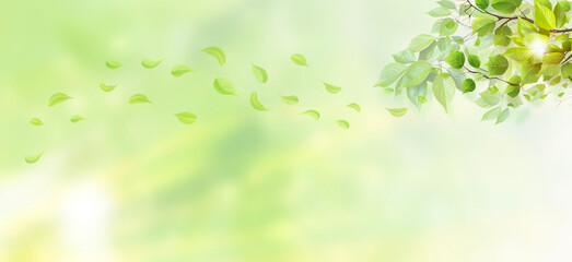 新緑の若葉のフレーム素材